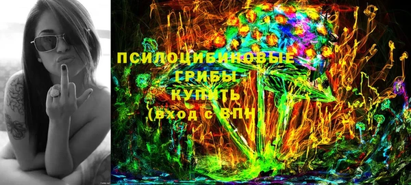 МДПВ Алзамай