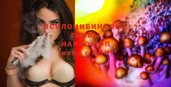 твердый Алексеевка