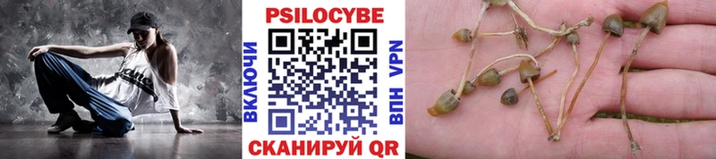 МЕГА маркетплейс продажа наркотиков Калининск Псилоцибиновые грибы GOLDEN TEACHER